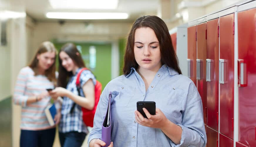 What Does Cyberbullying Look Like in High-School