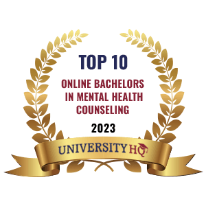 top 10 online BS mental health counseling